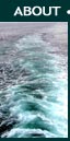 About Liberty Shipping Services Ltd